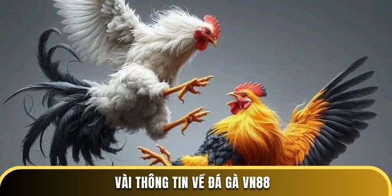 vài thông tin về đá gà vn88